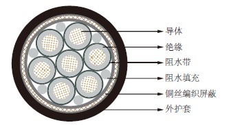 ˮ׵Submarine Cables