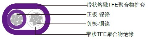 单对扁平TFE绝缘热电偶电缆