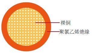 AVSS汽车线
