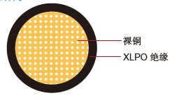 SGX 美标汽车电缆