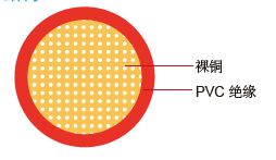 SGX 美标汽车电缆